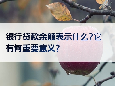 银行贷款余额表示什么？它有何重要意义？