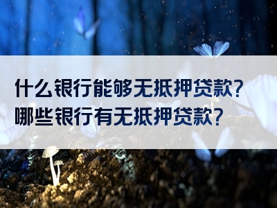 什么银行能够无抵押贷款？哪些银行有无抵押贷款？