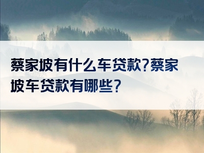 蔡家坡有什么车贷款？蔡家坡车贷款有哪些？