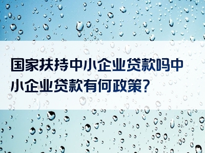 国家扶持中小企业贷款吗中小企业贷款有何政策？