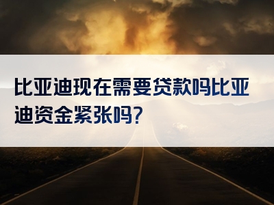 比亚迪现在需要贷款吗比亚迪资金紧张吗？