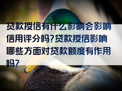 贷款授信有什么影响会影响信用评分吗？贷款授信影响哪些方面对贷款额度有作用吗？