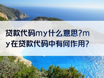 贷款代码my什么意思？my在贷款代码中有何作用？