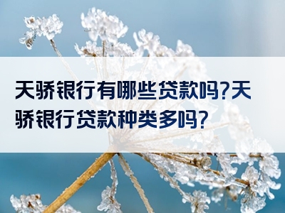 天骄银行有哪些贷款吗？天骄银行贷款种类多吗？