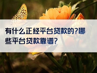 有什么正经平台贷款的？哪些平台贷款靠谱？