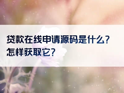 贷款在线申请源码是什么？怎样获取它？