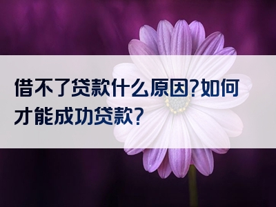 借不了贷款什么原因？如何才能成功贷款？