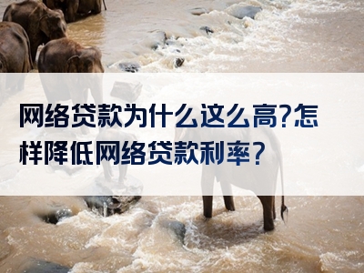 网络贷款为什么这么高？怎样降低网络贷款利率？