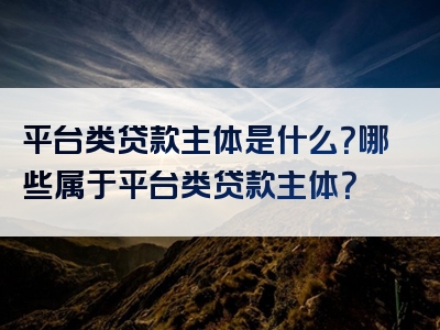 平台类贷款主体是什么？哪些属于平台类贷款主体？