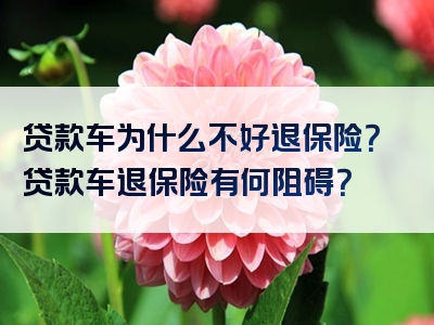 贷款车为什么不好退保险？贷款车退保险有何阻碍？