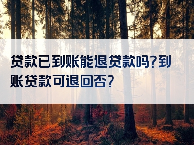 贷款已到账能退贷款吗？到账贷款可退回否？