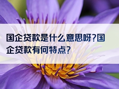 国企贷款是什么意思呀？国企贷款有何特点？