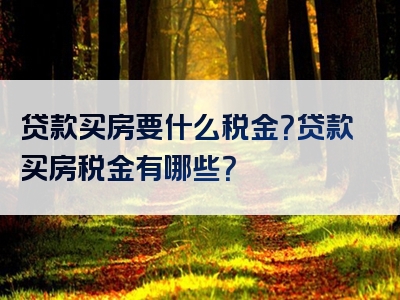 贷款买房要什么税金？贷款买房税金有哪些？