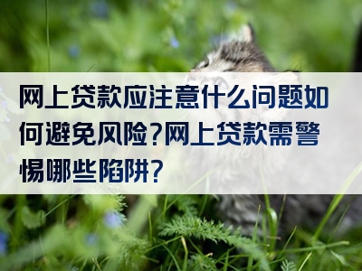 网上贷款应注意什么问题如何避免风险？网上贷款需警惕哪些陷阱？