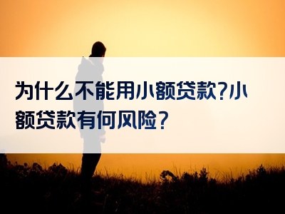 为什么不能用小额贷款？小额贷款有何风险？