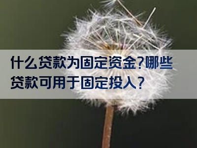 什么贷款为固定资金？哪些贷款可用于固定投入？