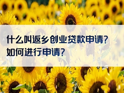 什么叫返乡创业贷款申请？如何进行申请？