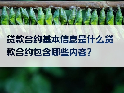 贷款合约基本信息是什么贷款合约包含哪些内容？