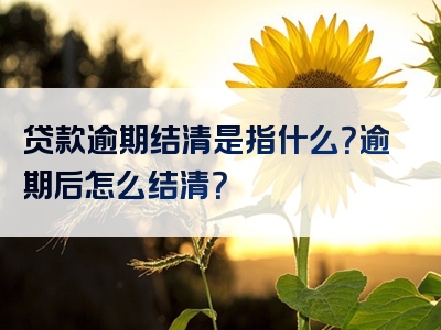 贷款逾期结清是指什么？逾期后怎么结清？