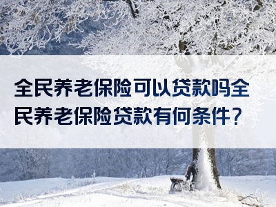 全民养老保险可以贷款吗全民养老保险贷款有何条件？