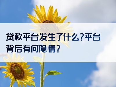 贷款平台发生了什么？平台背后有何隐情？