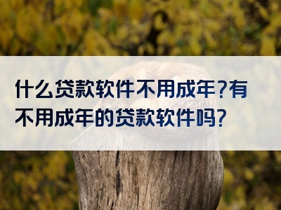 什么贷款软件不用成年？有不用成年的贷款软件吗？