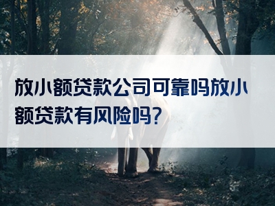 放小额贷款公司可靠吗放小额贷款有风险吗？