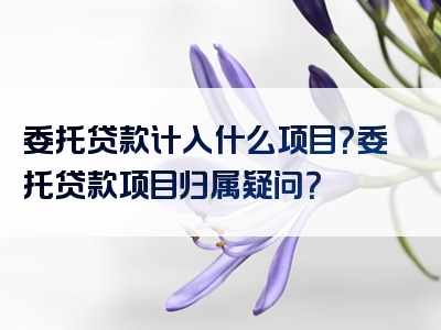 委托贷款计入什么项目？委托贷款项目归属疑问？