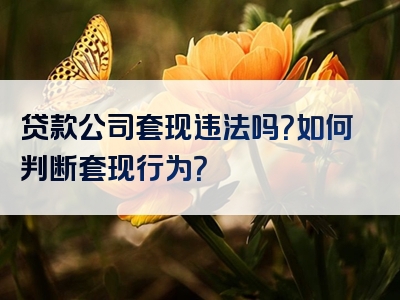 贷款公司套现违法吗？如何判断套现行为？