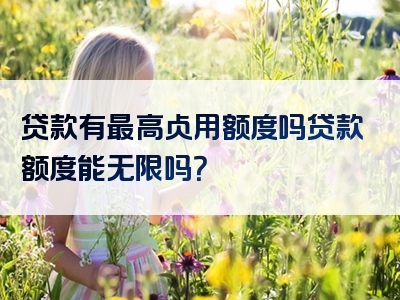 贷款有最高占用额度吗贷款额度能无限吗？