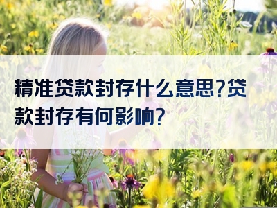 精准贷款封存什么意思？贷款封存有何影响？