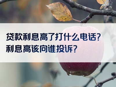 贷款利息高了打什么电话？利息高该向谁投诉？