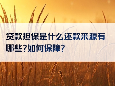 贷款担保是什么还款来源有哪些？如何保障？