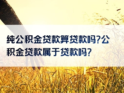 纯公积金贷款算贷款吗？公积金贷款属于贷款吗？