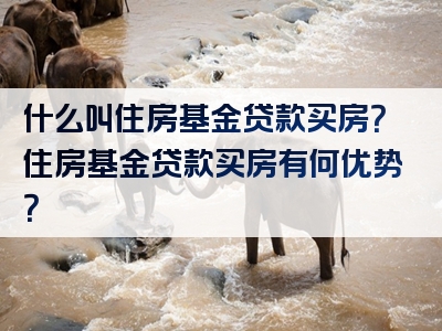 什么叫住房基金贷款买房？住房基金贷款买房有何优势？