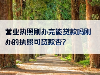 营业执照刚办完能贷款吗刚办的执照可贷款否？