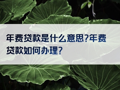 年费贷款是什么意思？年费贷款如何办理？