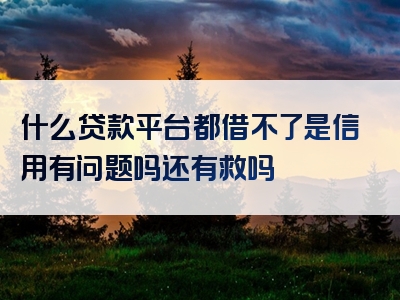 什么贷款平台都借不了是信用有问题吗还有救吗