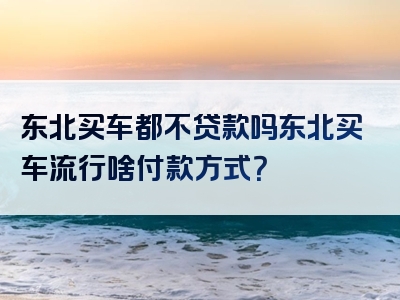 东北买车都不贷款吗东北买车流行啥付款方式？