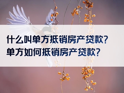 什么叫单方抵销房产贷款？单方如何抵销房产贷款？