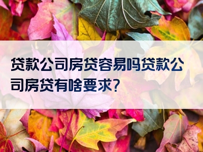 贷款公司房贷容易吗贷款公司房贷有啥要求？