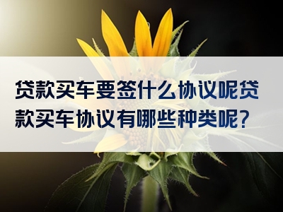 贷款买车要签什么协议呢贷款买车协议有哪些种类呢？