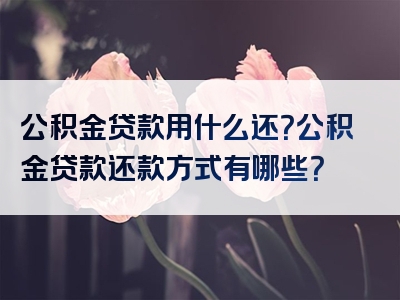 公积金贷款用什么还？公积金贷款还款方式有哪些？