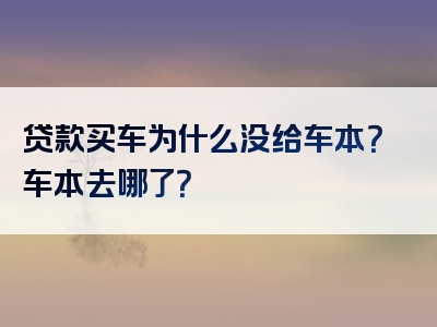 贷款买车为什么没给车本？车本去哪了？