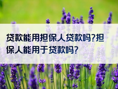 贷款能用担保人贷款吗？担保人能用于贷款吗？