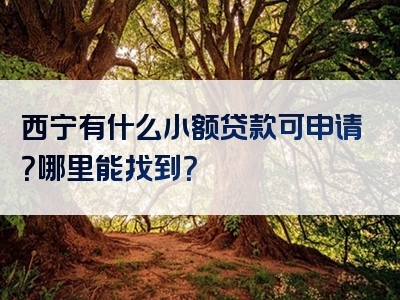 西宁有什么小额贷款可申请？哪里能找到？