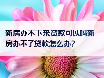 新房办不下来贷款可以吗新房办不了贷款怎么办？