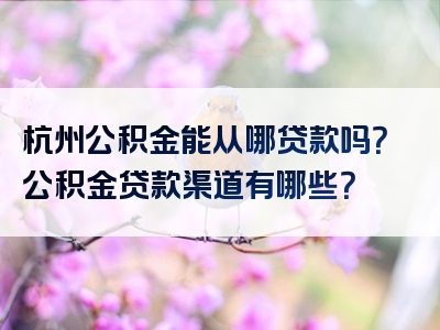 杭州公积金能从哪贷款吗？公积金贷款渠道有哪些？