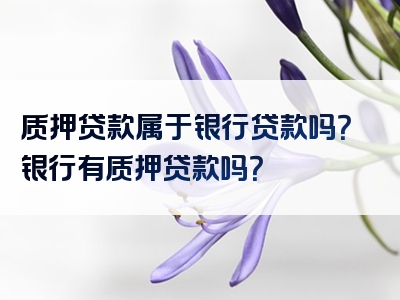 质押贷款属于银行贷款吗？银行有质押贷款吗？