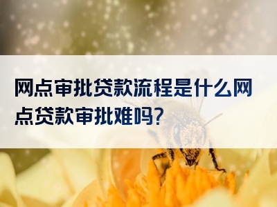 网点审批贷款流程是什么网点贷款审批难吗？